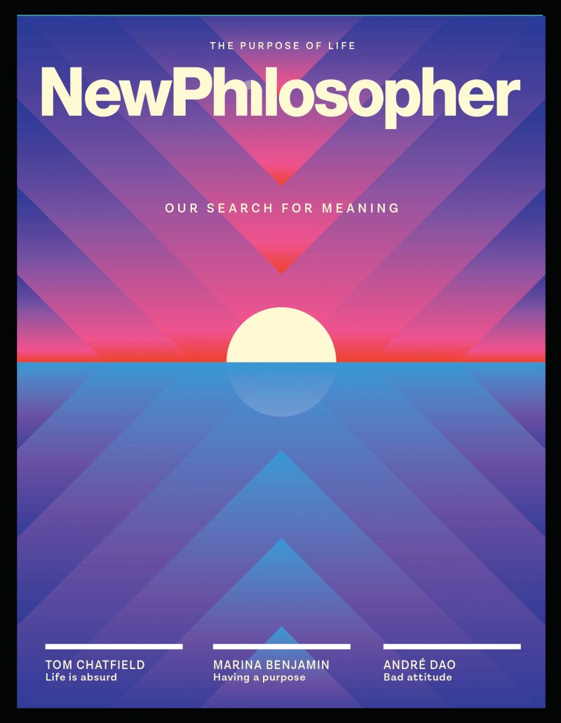 NP29 Purpose