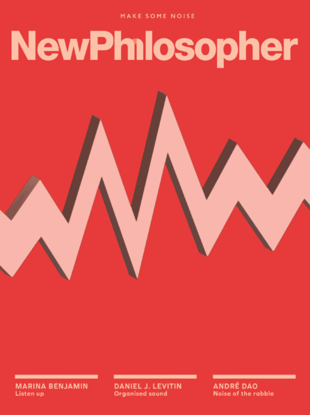 NP51 Noise